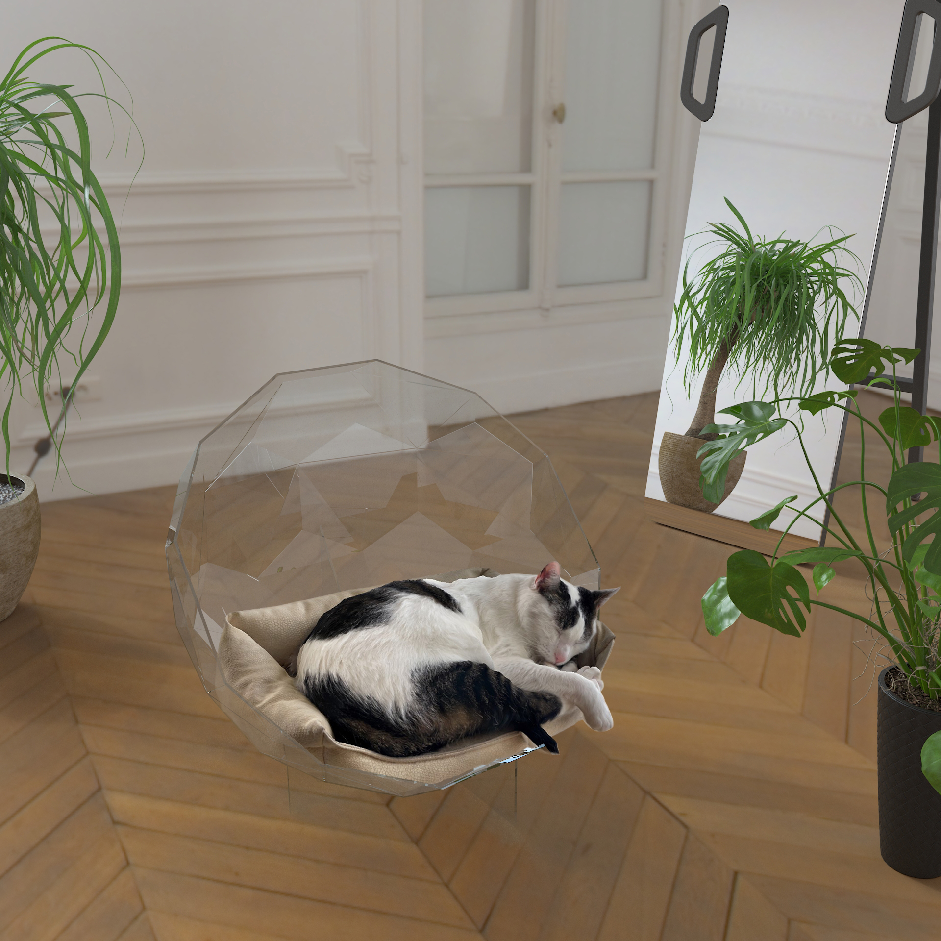Dekoratif Şeffaf Kedi Evi